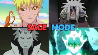 Sage Mode Explained Everything You Need To Know About Sage Mode [upl. by Stace]