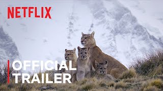 Predators  Official Trailer  Netflix [upl. by Pedro]