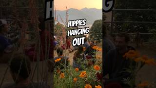 Hippies In Nepal  Rainbow Gathering Family  2022 [upl. by Fafa]