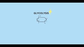 NCERT  GLYCOLYSIS 12 [upl. by Waite301]