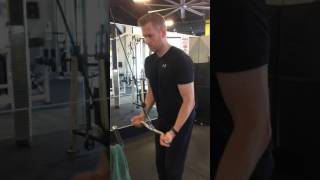 Reverse Grip Triceps Pushdown [upl. by Gleich908]