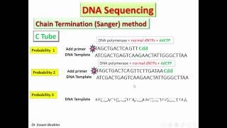 Chain Termination Sanger method Arabic Dr Essam Ibrahim [upl. by Sheline]