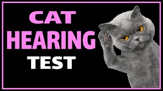 Cat Hearing Test  Test Your Cats Ears [upl. by Enytsuj]