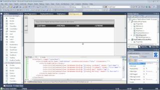 GridView  Part 4 How to Use Group Aggregates Silverlight amp WPF [upl. by Jegar979]