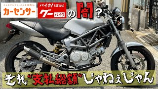 VTR250を紹介しながらちょっと愚痴ります… [upl. by Acirtal]