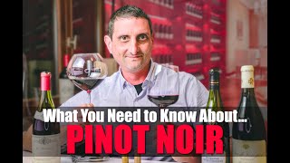 Everything You Need to Know About Pinot Noir [upl. by Akcirederf]