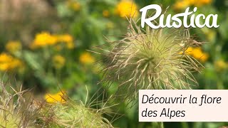 Découvrir la flore des Alpes au Jardin du Haut Chitelet [upl. by Schlicher]