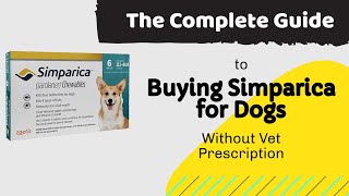 How to buy Simparica for Dogs Without Vet Prescription The Complete Answer for this Big Question [upl. by Euqilegna]