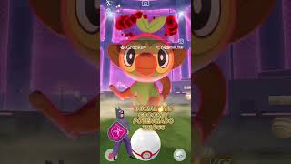 😏🤳INICIAL🔥VS GOOKEY POTENCIADO grookey charizard pokemongo dynamax [upl. by Saum302]