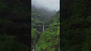 Marleshwar WaterfallRatnagiriMaharashtra shorts youtubeshorts waterfall nature reels viral [upl. by Fleece478]