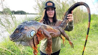 Monster IGUANA Hunting In Florida  Catch amp Cook  Iguana Tacos [upl. by Ahtelat]