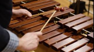 What does a xylophone sound like Scale [upl. by Paviour]