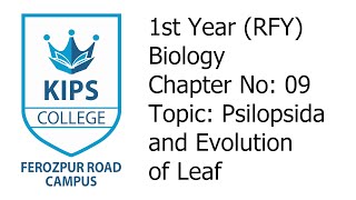 Psilopsida and Evolution of Leaf  1st Year Biology Chapter No 9 [upl. by Palestine709]