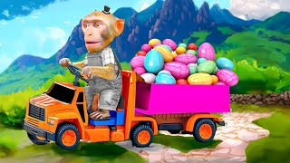 Monkey Collects Rainbow Eggs to Eat with Little Brother  Miko Monkey Animal [upl. by Octavie43]