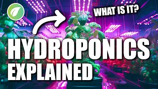 Hydroponics Explained What it is and How it Works [upl. by Ayet]