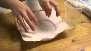 Investigation what paper towel is more absorbent [upl. by Yrelbmik]