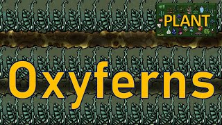 Oxygen Not Included  Plant Tutorial Bites  Oxyferns [upl. by Dav413]