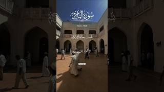 Surah Al maaraj youtube qurantilawathearttouchingvoice ytshortsvideo youtubeytquran [upl. by Nylatsirk850]