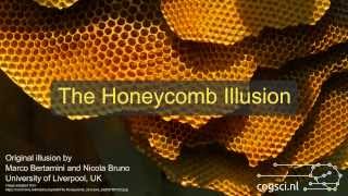 The Honeycomb Illusion [upl. by Remington]