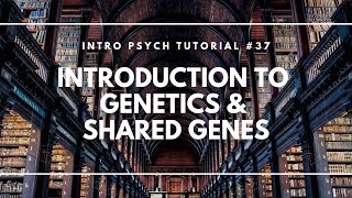 Introduction to Genetics and Shared Genes Intro Psych Tutorial 37 [upl. by Aitnic]