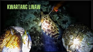 vlog 456 Night dive spearfishing🎯 catch amp cook amp shell [upl. by Ramos]