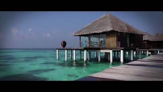 Paysano on the Go Coco Palm Bodu Hithi Maldives 2017 [upl. by Htide724]