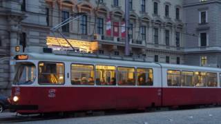 Wiener Linien Linie D Die wohl sinnvollste Ansage [upl. by Jereld]