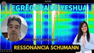 Envio de Reiki  Conhecimentos sobre a RESSONÂNCIA SCHUMANN [upl. by Rebekah]