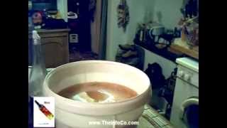 How to make wine  Apple by TheInfoCocom [upl. by Adelaide]