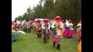 Carnaval de Arapa ECOS DE ARAPA [upl. by Akialam615]