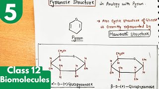 5 Pyranose or Haworth structure of glucoseglucopyranose structures Biomolecules class12 chemistry [upl. by Line818]