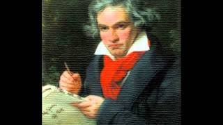 Ludwig van Beethoven  Symphony No 5 Full [upl. by Sainana556]