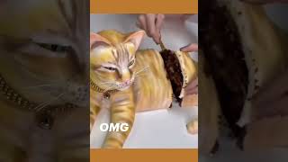 funny cat video Viral [upl. by Neerom948]