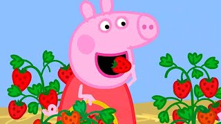 Peppa Pig Full Episodes  Season 8  Compilation 47  Kids Video [upl. by Mita]