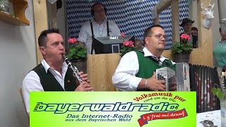 Das Wildbach Trio beim Bayerwaldradio live [upl. by Oby257]