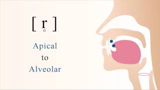 r̥  unvoiced apical alveolar trill [upl. by Seafowl]