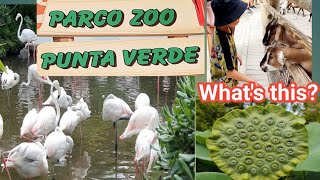 Parco Zoo Punta Verde Bibione ItalyFilipinaAustria Vacation July 2022 [upl. by Derwood]