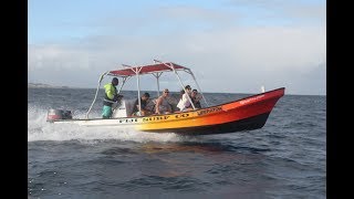 Fiji Surf boat trip to Swimming pools 080819 [upl. by Notyep]