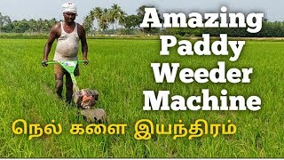 Amazing Paddy Weeder Machine நெல் களை இயந்திரம் [upl. by Solita533]