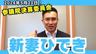 参議院議員新妻ひでき 決算委員会（24年5月20日） [upl. by Circosta588]