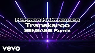 Herman Holtzhausen  Transkaroo SENSASIE Remix  Visualizer ft SENSASIE [upl. by Jat]