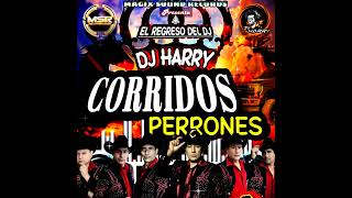 Corridos Perrones El Caballon 💽Dj Harry👑El Regreso Del DJ😎Magix Sound Récords💥 [upl. by Imray]