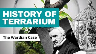 A Brief History of the Terrarium The Wardian Case [upl. by Aneram]