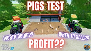 PIGS TEST  Farming Simulator 22 [upl. by Yhtamit271]