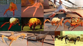 HALFLIFE ALL HEADCRABS SHOWCASE [upl. by Havot]