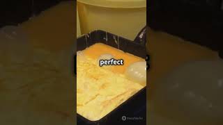 Master Tamagoyaki in 60 Seconds Quick amp Easy Recipe 🍳 [upl. by Eeliram]