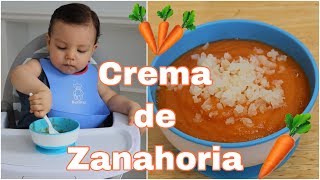 Crema de Zanahoria 🥕 para bebés y niños  Sopa de zanahoria 🥕  Papilla de Zanahoria [upl. by Ecnarolf]