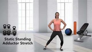 How to do a Static Standing Adductor Stretch [upl. by Kciv]