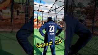 දිල්ශාන්ගේ දුවගේ වැඩ කොහොමද  Tm Dilshan Doughter [upl. by Bianka426]