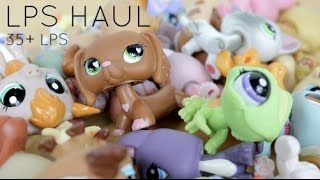 LPS Haul 35 LPS and Accessories [upl. by Swayder]